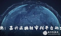 从萌芽到成熟: 嘉兴区块链