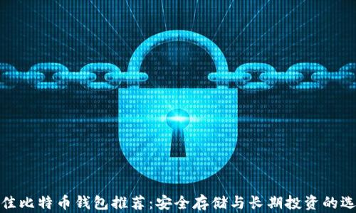 
最佳比特币钱包推荐：安全存储与长期投资的选择