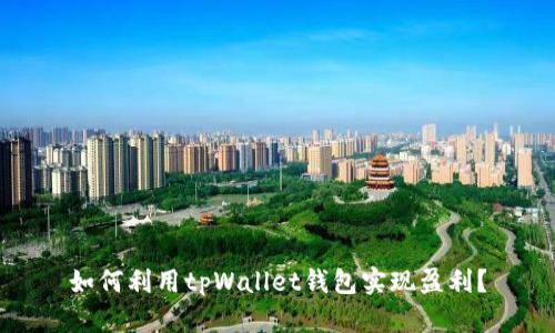 如何利用tpWallet钱包实现盈利？