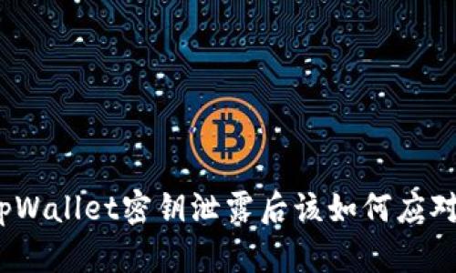 tpWallet密钥泄露后该如何应对？