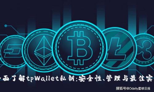 全面了解tpWallet私钥:安全性、管理与最佳实践