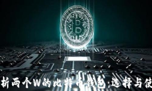 
全面解析两个W的比特币钱包：选择与使用指南