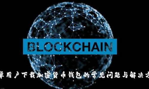 安卓用户下载加密货币钱包的常见问题与解决方案