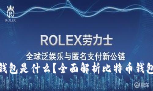 : 存储比特币的钱包是什么？全面解析比特币钱包的类型与安全性