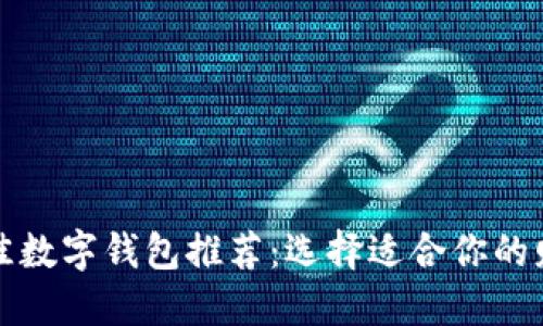 全球最佳数字钱包推荐：选择适合你的财务工具