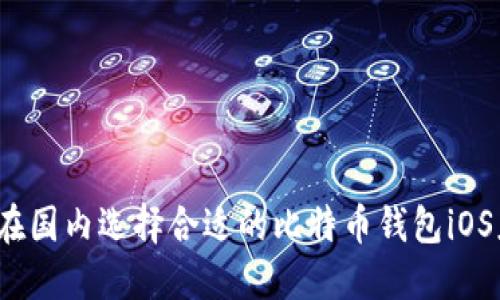 如何在国内选择合适的比特币钱包iOS应用？