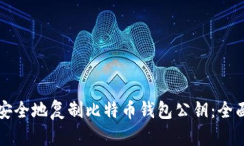如何安全地复制比特币钱包公钥：全面指南