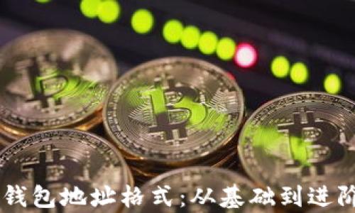 了解虚拟币钱包地址格式:从基础到进阶的全面解析