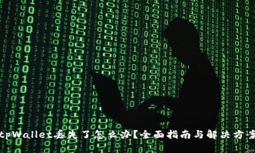 tpWallet丢失了怎么办?全面指南与解决方案