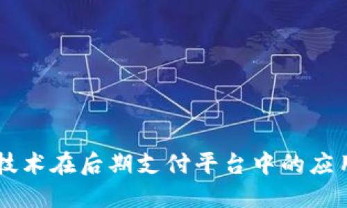 区块链技术在后期支付平台中的应用与展望