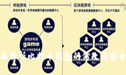 全面解析比特币钱包的修改与安全性