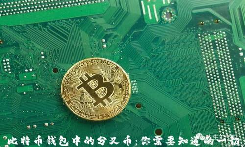 
比特币钱包中的分叉币：你需要知道的一切