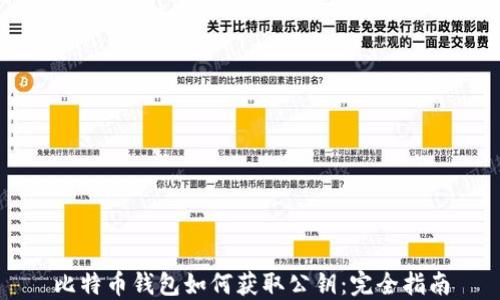 
比特币钱包如何获取公钥：完全指南