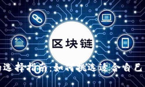 比特币钱包的选择指南：如何挑选适合自己的比特币钱包