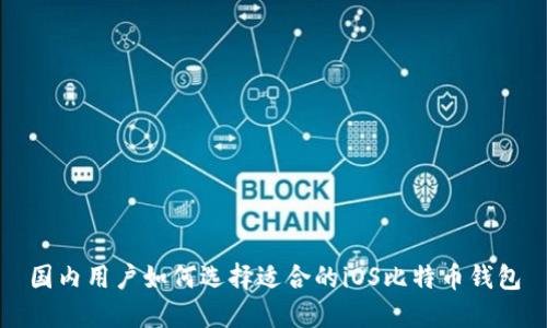国内用户如何选择适合的iOS比特币钱包