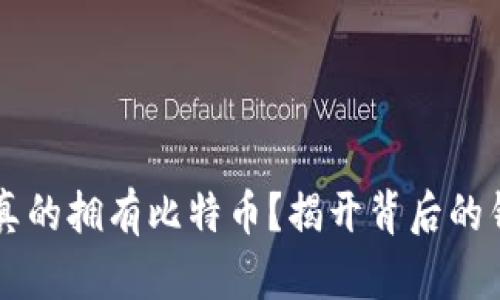 马斯克是否真的拥有比特币？揭开背后的钱包地址真相