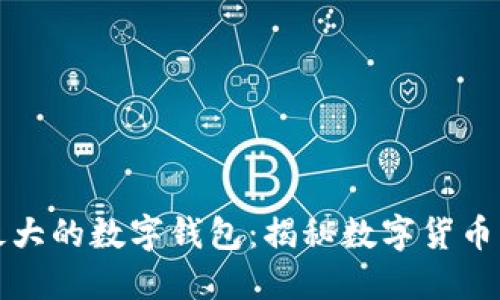 全球最大的数字钱包：揭秘数字货币的巨头