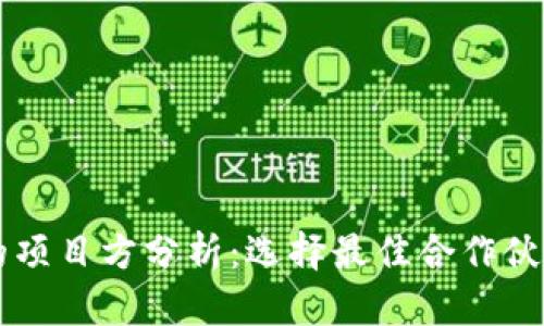 区块链钱包的项目方分析：选择最佳合作伙伴的全面指南