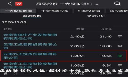 区块链钱包风波：探讨安全性、隐私与未来发展