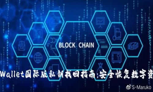 tpWallet国际版私钥找回指南：安全恢复数字资产