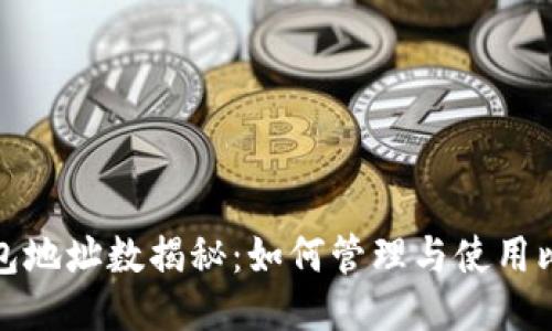 比特币钱包地址数揭秘:如何管理与使用比特币地址