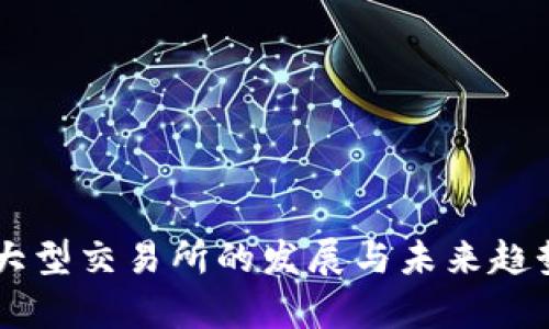 币圈大型交易所的发展与未来趋势分析