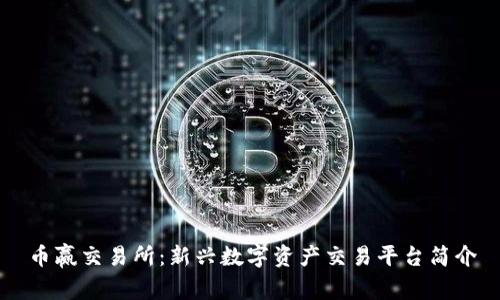 币赢交易所：新兴数字资产交易平台简介