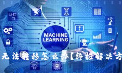 tpWallet里的币种无法转移怎么办？终极解决方案与常见问题解析