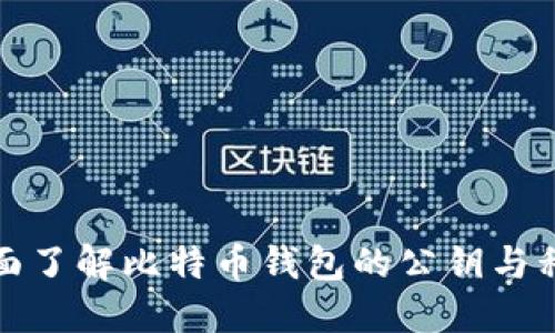 全面了解比特币钱包的公钥与私钥