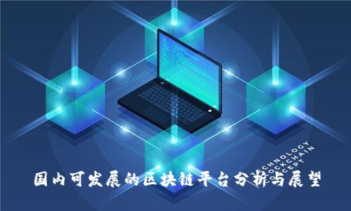 国内可发展的区块链平台分析与展望