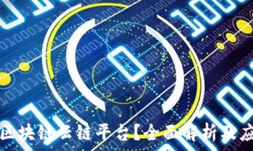   
什么是区块链云链平台？全面解析及应用前景
