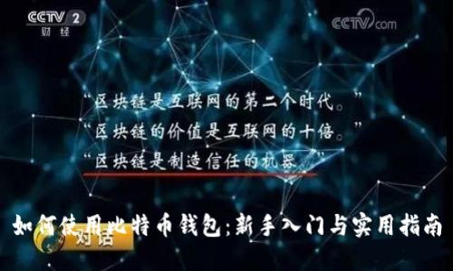 如何使用比特币钱包：新手入门与实用指南