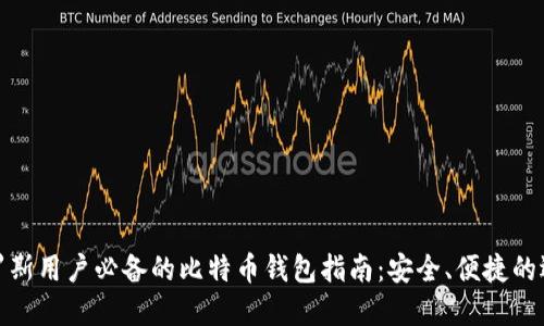 俄罗斯用户必备的比特币钱包指南：安全、便捷的选择