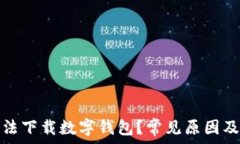   为什么无法下载数字钱包
