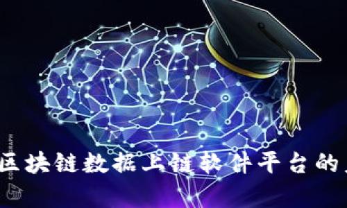 全面解析：区块链数据上链软件平台的未来与应用