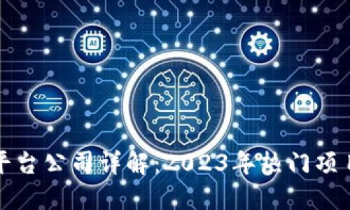 区块链共享平台公司详解：2023年热门项目与发展趋势