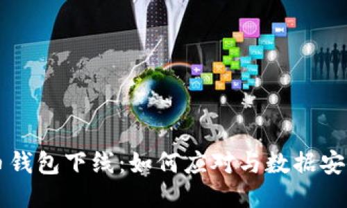 比特币钱包下线：如何应对与数据安全指南