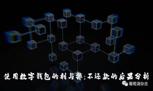 使用数字钱包的利与弊：不还款的后果分析