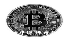 如何在tpWallet中进行币的交