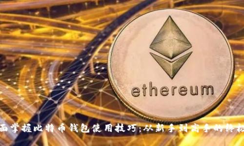 : 全面掌握比特币钱包使用技巧：从新手到高手的终极指南
