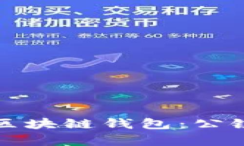 如何选择和使用区块链钱包：公链技术的深度剖析