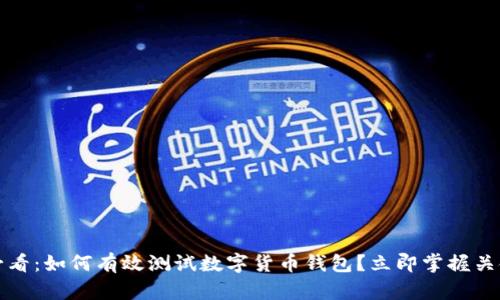 2025必看：如何有效测试数字货币钱包？立即掌握关键技巧！