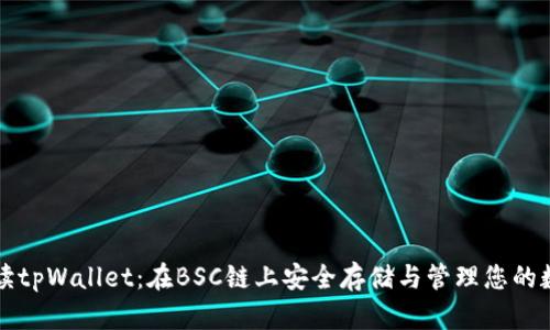 全面解读tpWallet：在BSC链上安全存储与管理您的数字资产