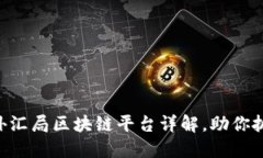 : 2025必看！外汇局区块链