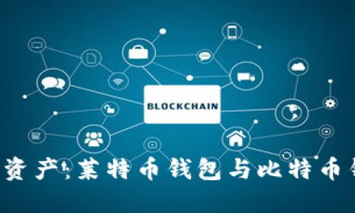 立即选择最适合你的数字资产：莱特币钱包与比特币钱包全面对比（2025必看）