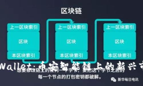 探秘tpWallet：币安智能链上的新兴市场项目