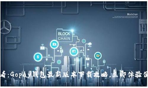 2025必看：Gopay钱包最新版本下载攻略，立即体验便捷支付！