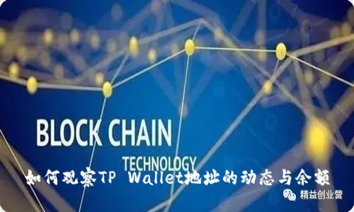 如何观察TP Wallet地址的动态与余额