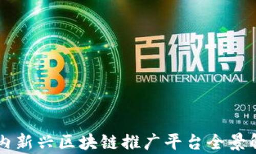 
国内新兴区块链推广平台全景解析