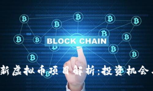 2023年最新虚拟币项目解析：投资机会与风险分析